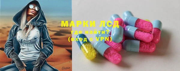 ГАЛЛЮЦИНОГЕННЫЕ ГРИБЫ Абаза