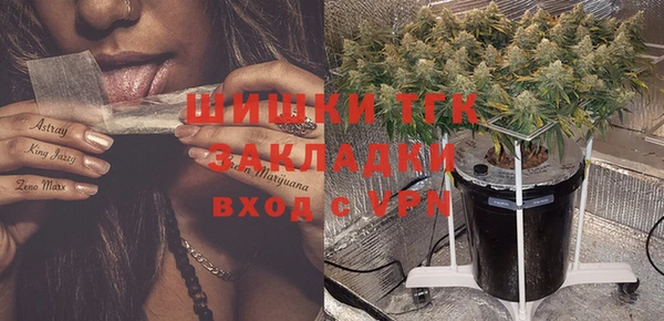 стафф Пересвет