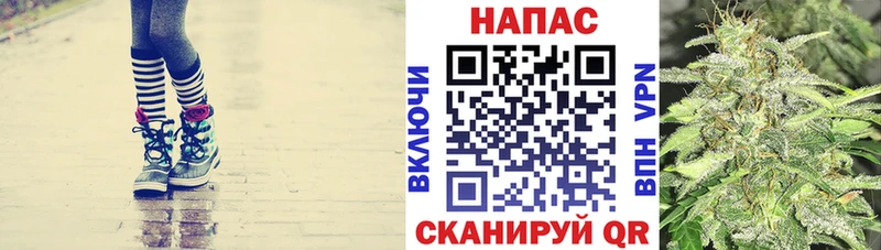 Марихуана семена наркотики Алатырь